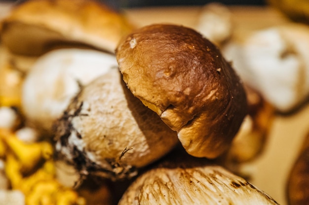 Photo close-up of bread