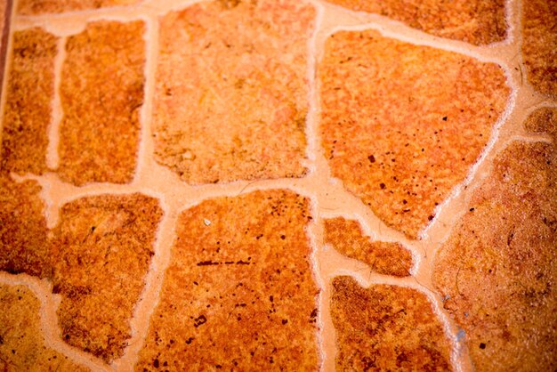 Close-up of bread