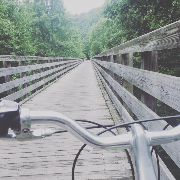 Photo close-up of bridge against trees