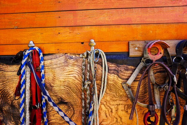 Photo close-up of bridle hanging against wooden wall