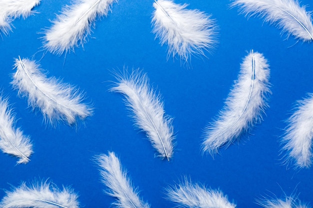 Close up to bright colorful feathers background Colored feather background top view