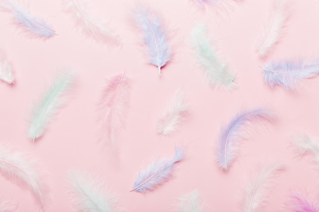 Close up to bright colorful feathers background Colored feather background top view