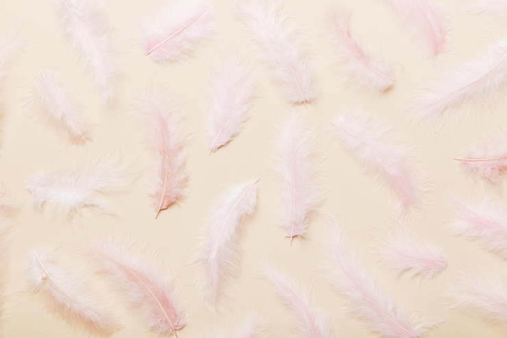 Photo close up to bright colorful feathers background colored feather background top view