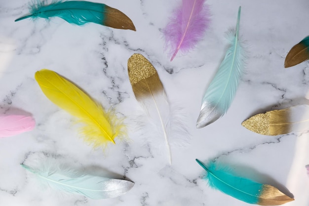 Photo close up to bright colorful feathers background