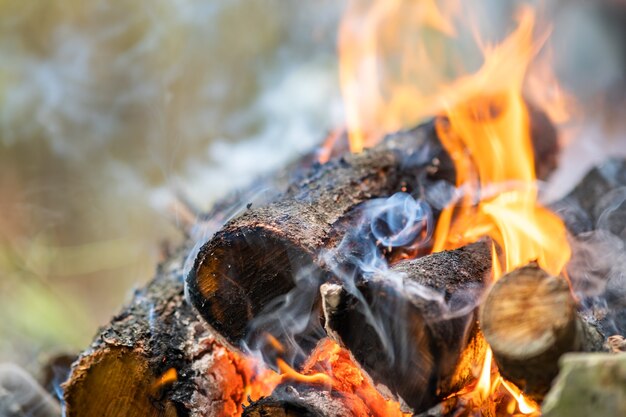 Close up of brightly burning wooden logs with yellow hot flames of fire.