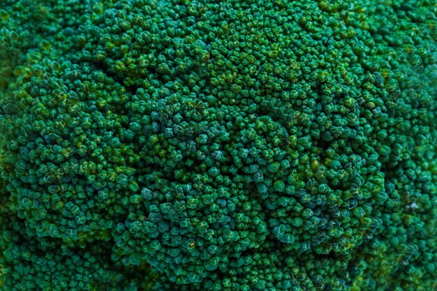 Close up, broccoli texture Fresh vegetables. vitamins