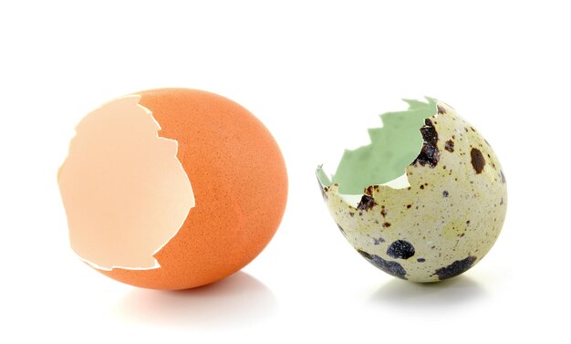 Photo close-up of broken egg against white background