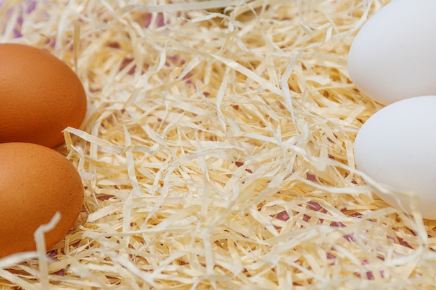 Close up brown and white eggs on straw