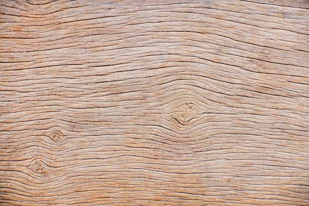 Close up brown wooden stump texture