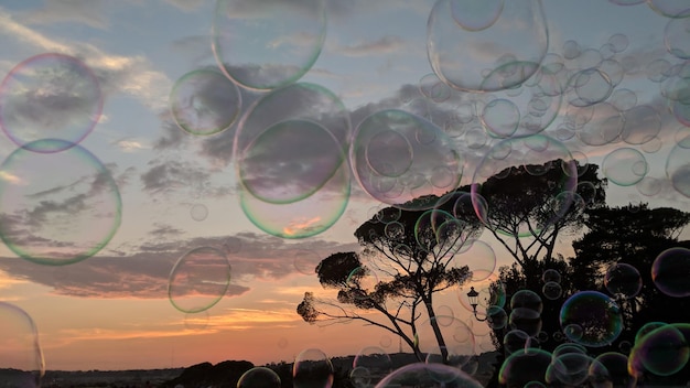 Close-up of bubbles against sky