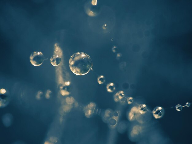 Close-up of bubbles against water