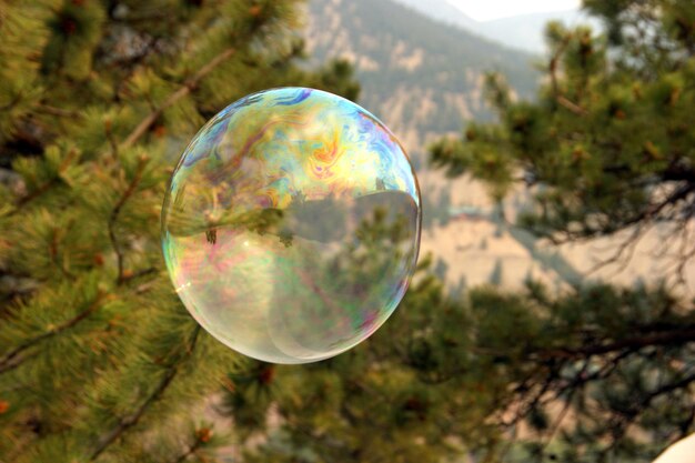 Foto close-up di bolle nel parco