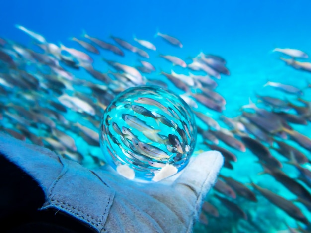 Close-up of bubbles in water