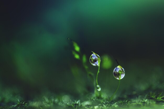 Close-up of bubbles in water