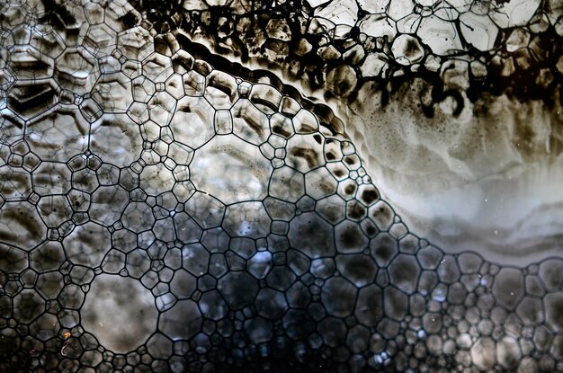 Close-up of bubbles in water