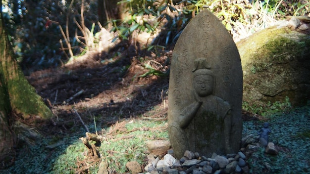 Foto close-up della statua di buddha sul paesaggio