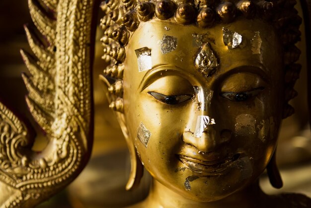 Close-up of buddha statue in temple