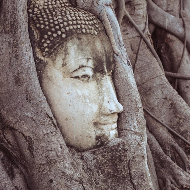 Foto close-up della statua di buddha