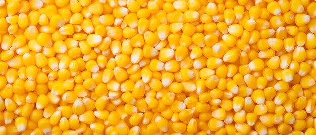 a close up of a bunch of corn