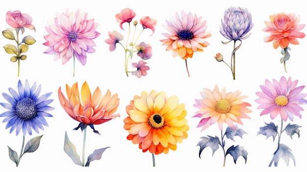 a close up of a bunch of flowers on a white background generative ai