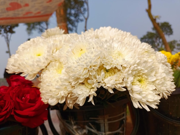 A close up of a bunch of flowers