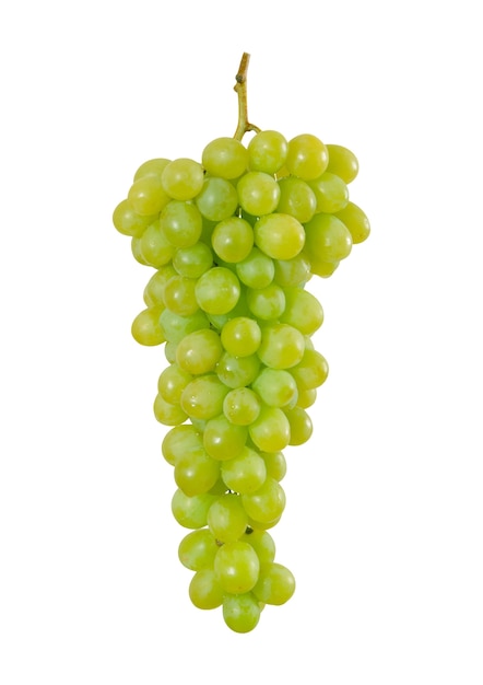 Close up on bunch of grapes isolated