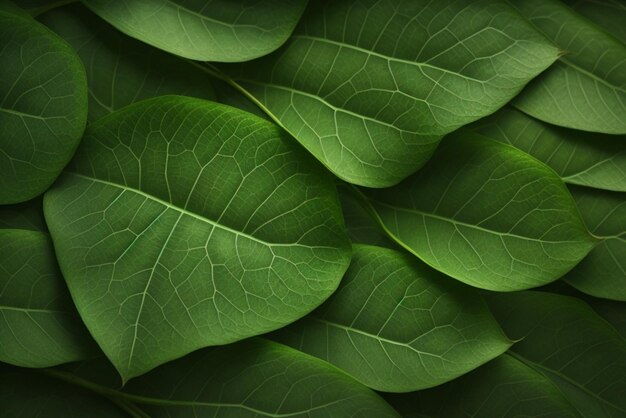 A close up of a bunch of green leaves highly detailed leaves highly detailed green leaves