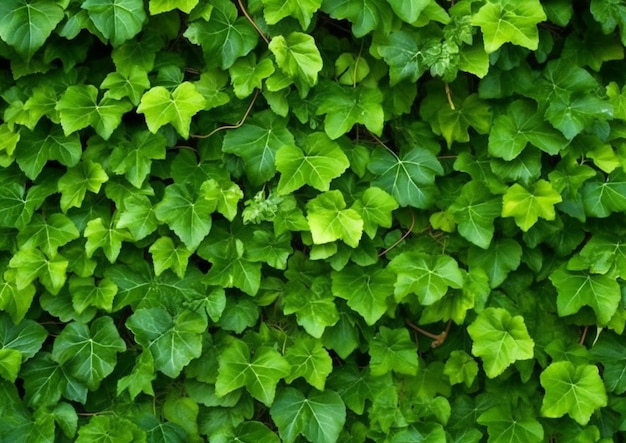 A close up of a bunch of green leaves on a wall generative ai