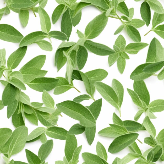 A close up of a bunch of green leaves on a white surface generative ai