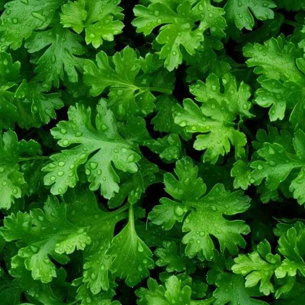 A close up of a bunch of green leaves with water droplets generative ai