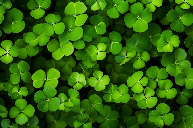 a close up of a bunch of green leaves