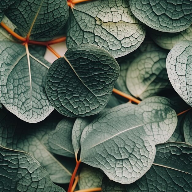 a close up of a bunch of leaves with orange tips
