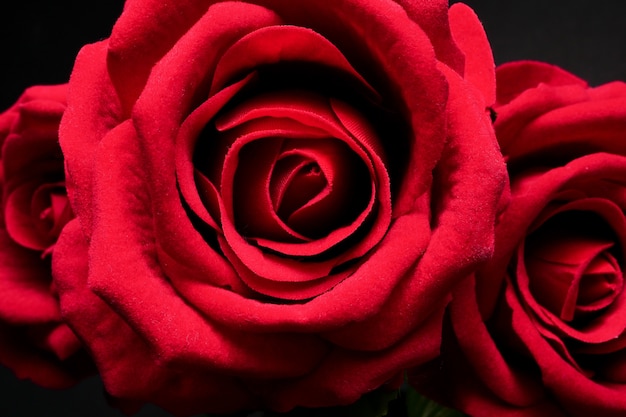 黒い背景に赤いバラの束を閉じます。