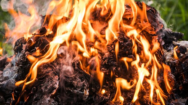 Close up to the burning fire burning garbage pile.