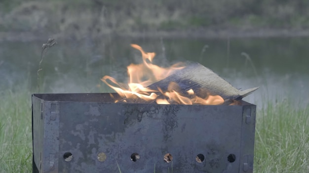 Close up burning flames on a background of grass and lake. fire\
burns beautifully, flames, coals, chargrill