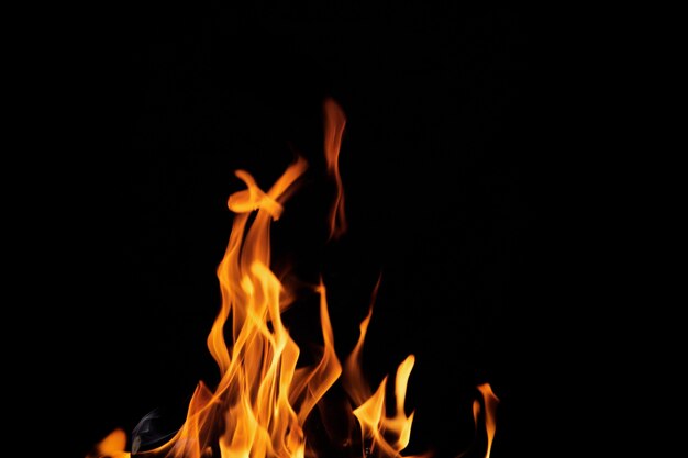 Close up burning flames on black background for graphic design or wallpaper