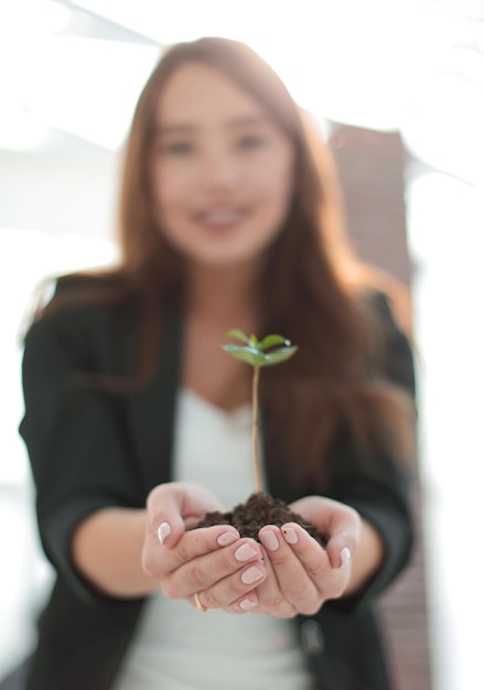 Close up business woman carefully keeps a fresh sproutthe concept of ecological business