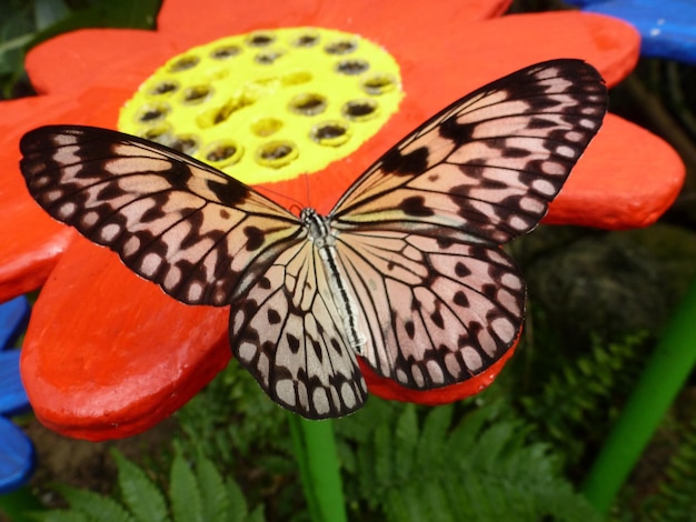 Foto prossimo piano di una farfalla su un fiore artificiale