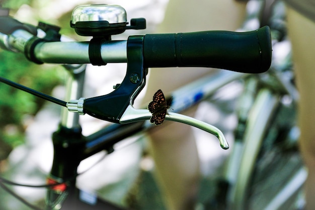 Photo close-up of butterfly on bicycle