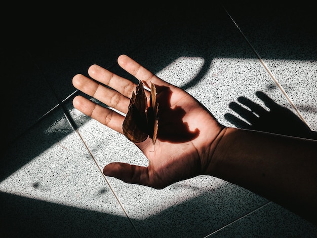 Photo close-up of butterfly on hand