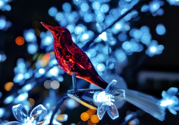 Foto close-up di una farfalla su luci natalizie illuminate di notte
