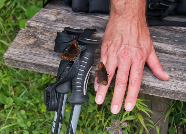 Close-up of butterfly on man hand over wood