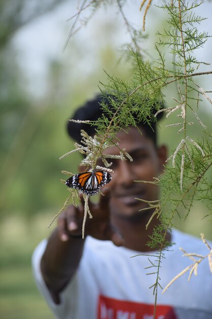 Foto prossimo piano di una farfalla sulla pianta