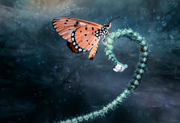 Close-up of butterfly on plant