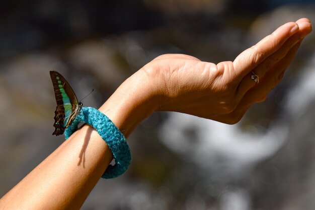 Photo close-up of butterfy on hand