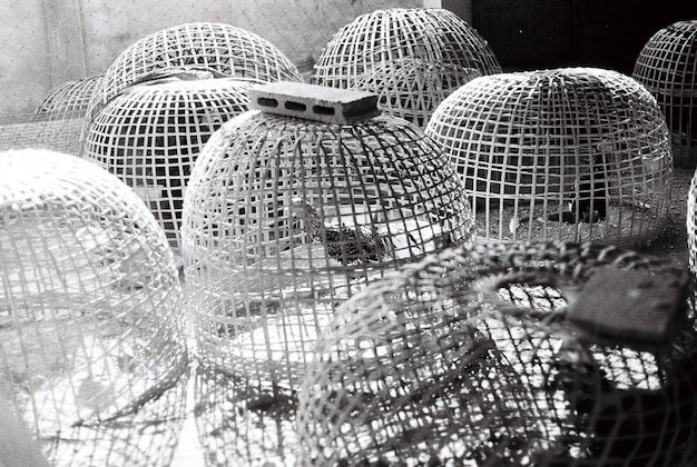 Photo close-up of cage