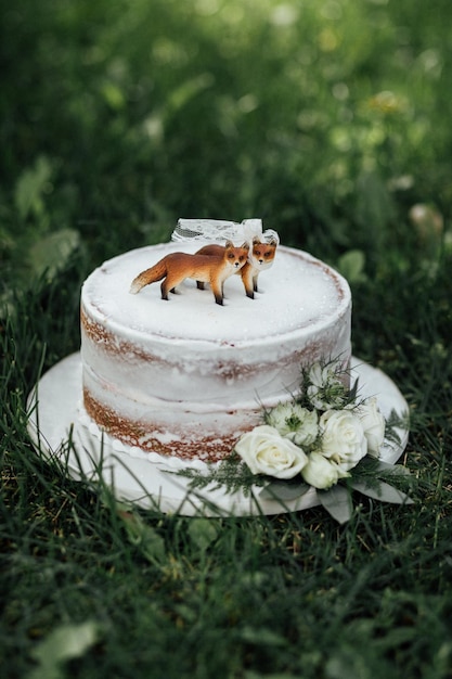 Close-up of cake on field