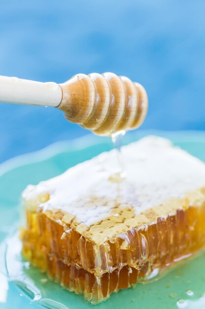 Close-up of cake in plate