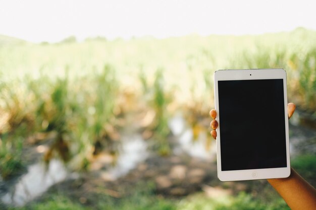 Close-up of camera phone on field