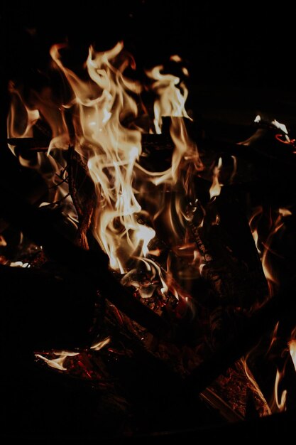 Close-up of campfire at night